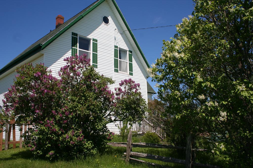 Lovely Green Gable Home Miscouche Ngoại thất bức ảnh